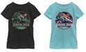 Fifth Sun Jurassic Park Big Girl's Retro Circle Color Stripes Short Sleeve T-Shirt